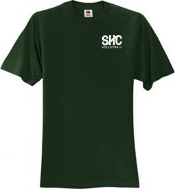 Port & Company Ring Spun Cotton Tee Shirt 3 Pack of Shirts (Misneach), Forest Green
